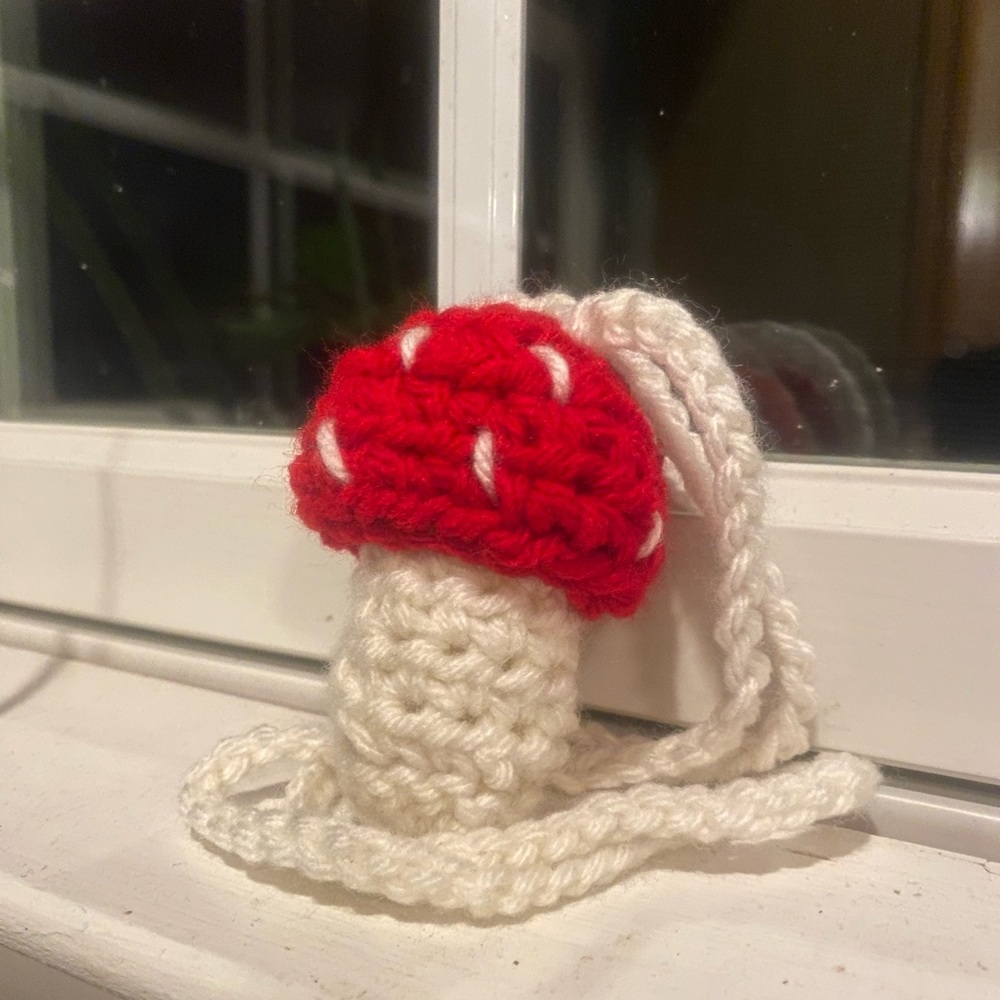 Hand Made Crochet Mushroom Pouch